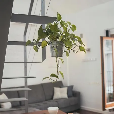 Apartment Trigo Homes Córdoba